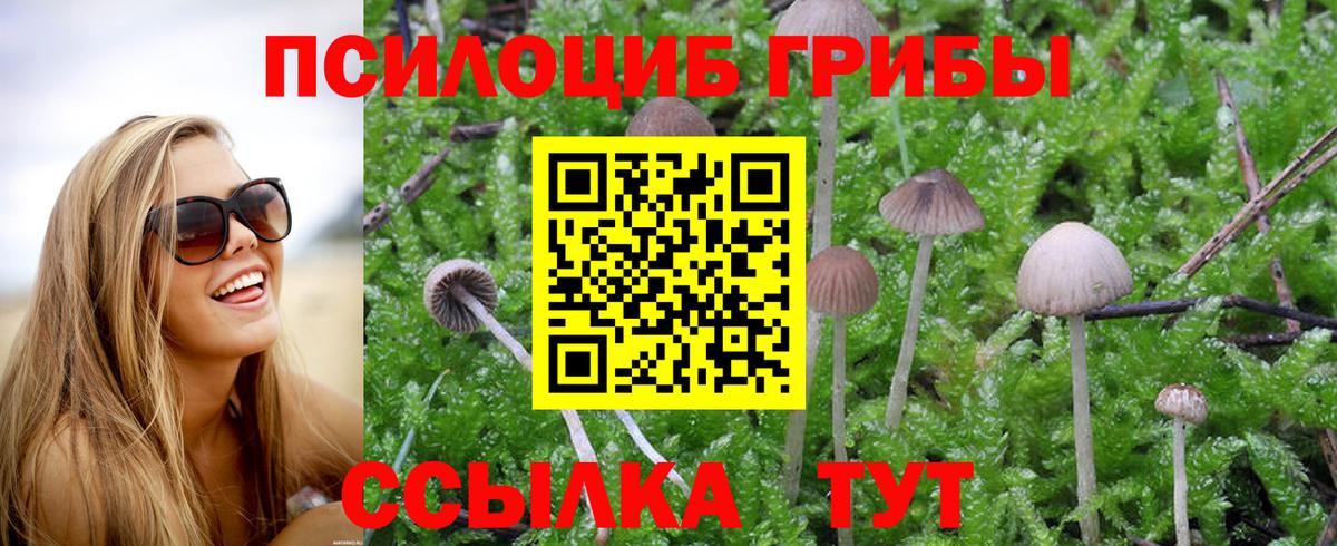 Псилоцибиновые грибы GOLDEN TEACHER  Вход с VPN  Городец 