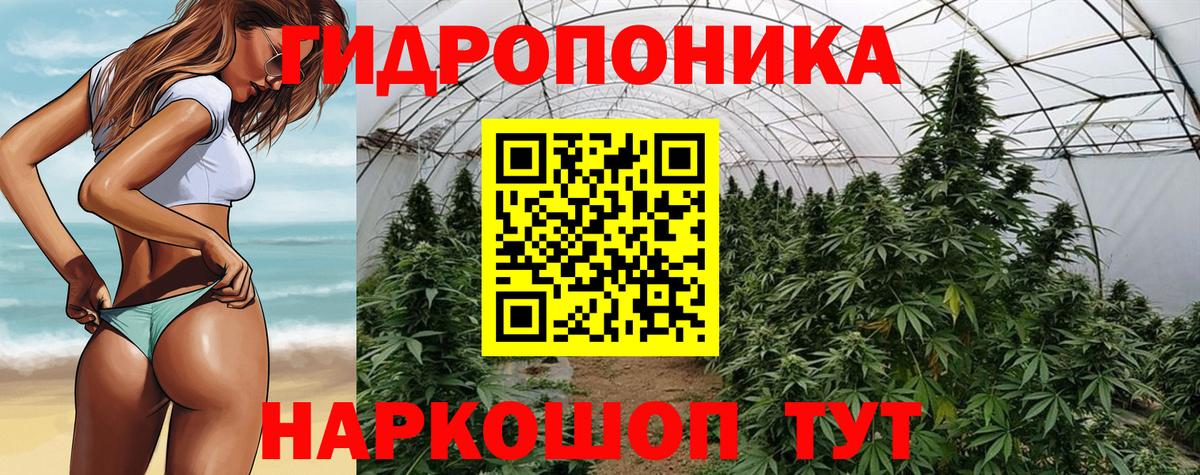 Бошки марихуана сатива  Каннабис тримм  Вход с VPN  Городец  Конопля гибрид  Марихуана Amnesia 